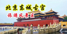 美女鸡巴小骚逼中国北京-东城古宫旅游风景区